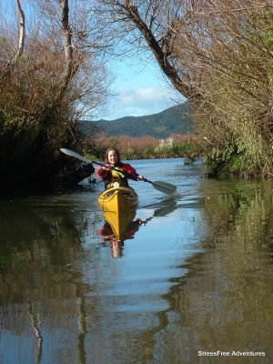 TePaeOKaiwaka